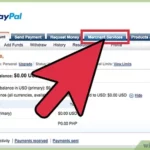 Cara Top Up Paypal With Apple Pay
